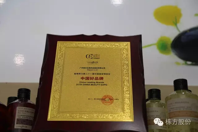 科技引領(lǐng)美麗▏棟方股份榮獲“中國好品牌獎”！
