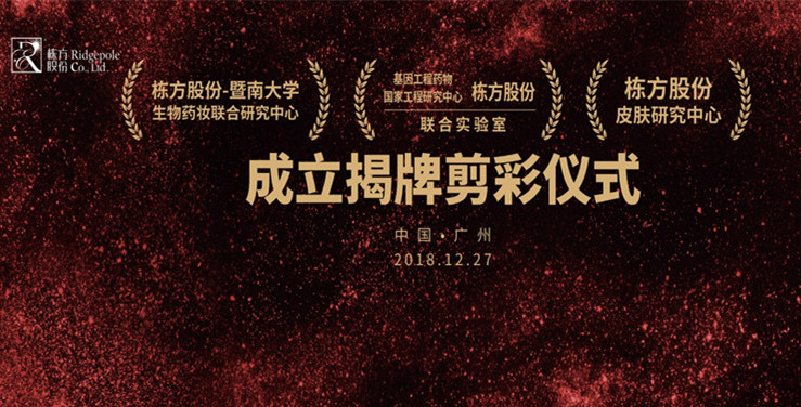 特別報道丨棟方股份技術發(fā)展迎來新里程碑